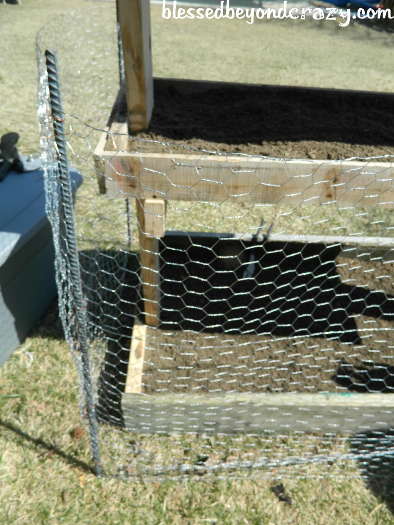gardeing box with chicken wire