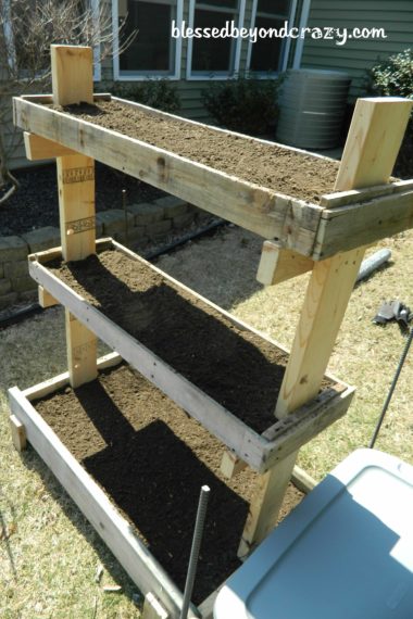 Make a Seed Box From Upcycled Shoe Boxes  Seed box, Garden boxes diy, Seed  storage