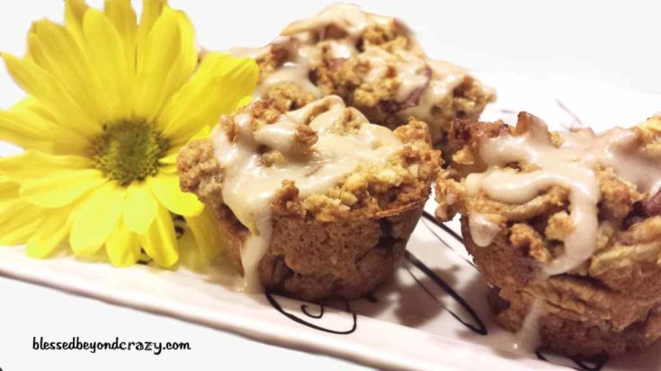 mini flax'n apple muffin cakes