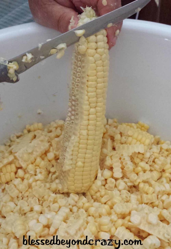 Cutting off fresh sweet corn kernels from the cob.