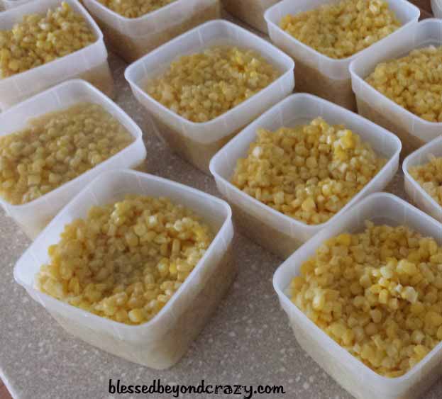 Blanced fresh sweet corn cooling in freezer containers.