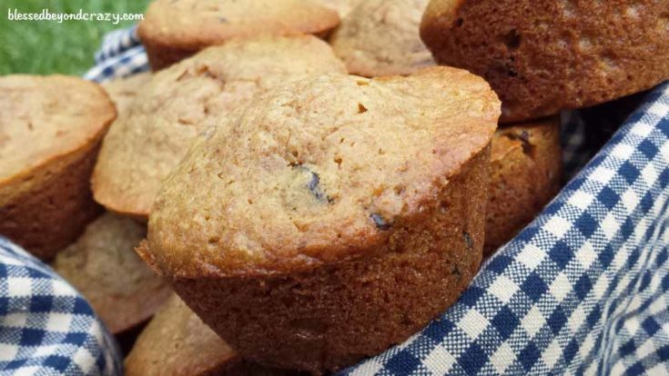 Breakfast Oatmeal Muffins (GF Option)