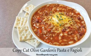 Copy Cat Olive Garden's Pasta e Fagioli