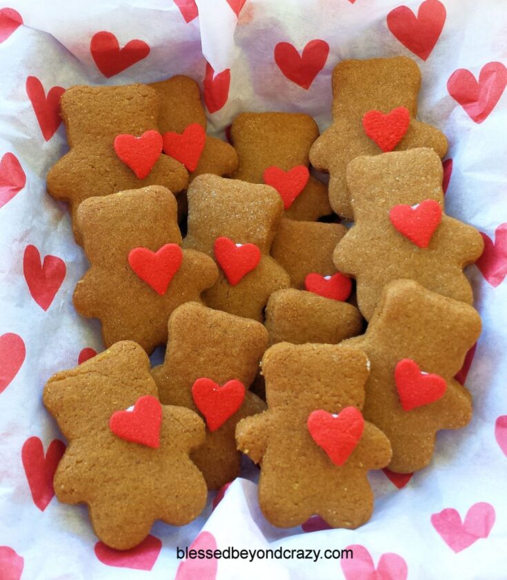 Teddy Bear Cookies (GF Option)