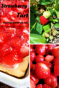 Strawberry Tart 1
