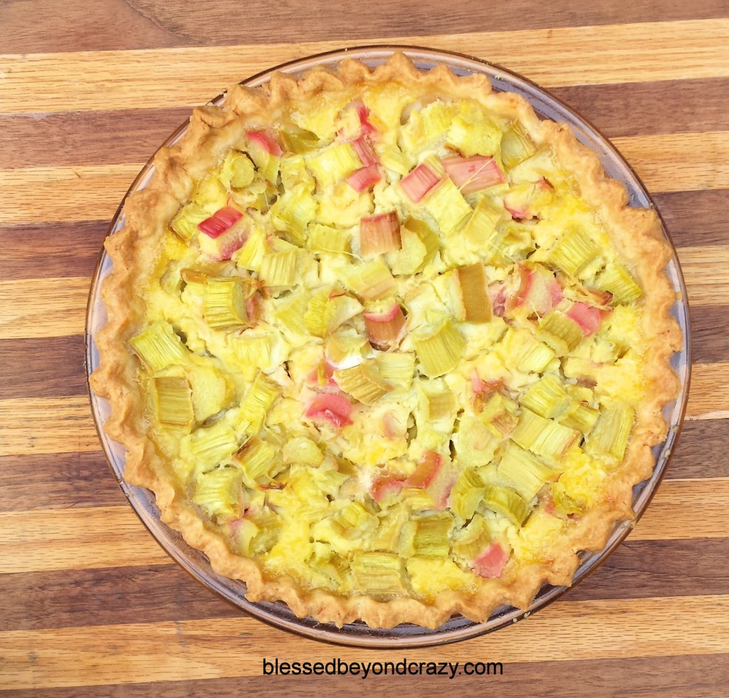 Rhubarb Pie 2