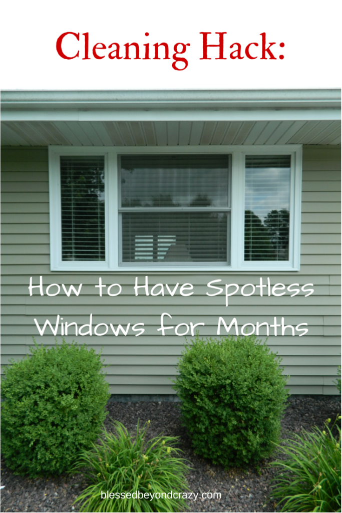 spotless windows