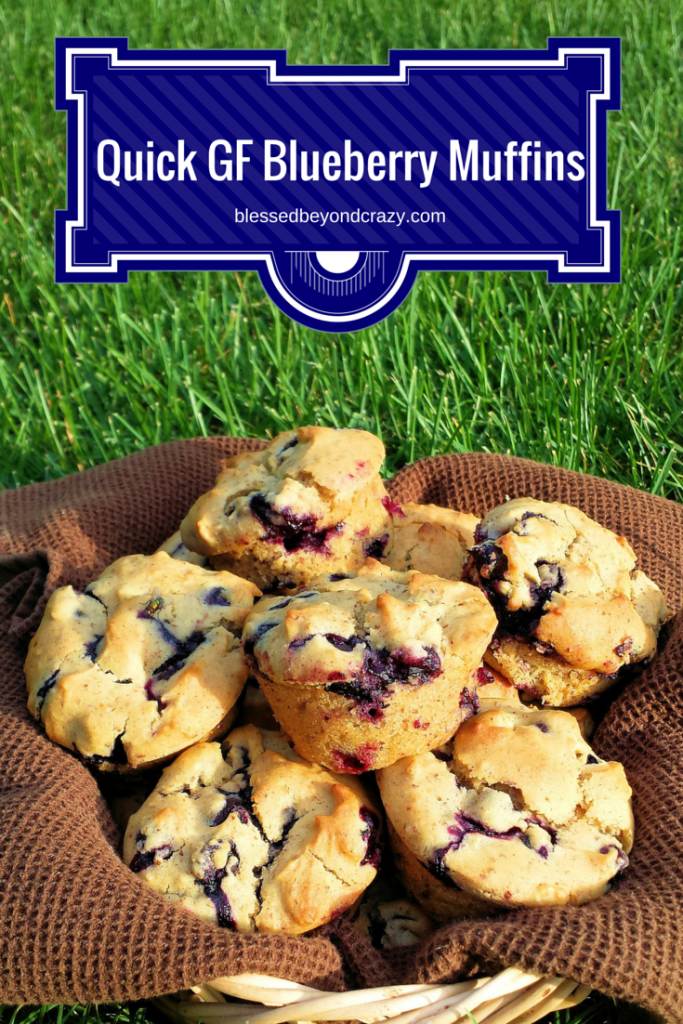 Quick Gluten-Free Blueberry Muffins