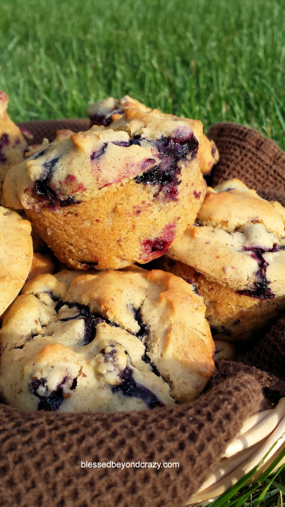 Quick Gluten Free Blueberry Muffins 2