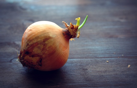 How to grow onions 8
