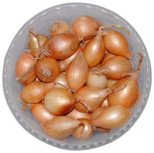 How to grow onions 16