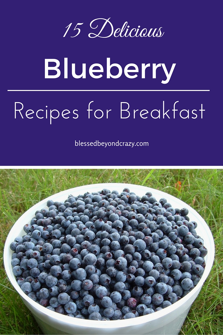 Blueberry Breakfast Recipes 3