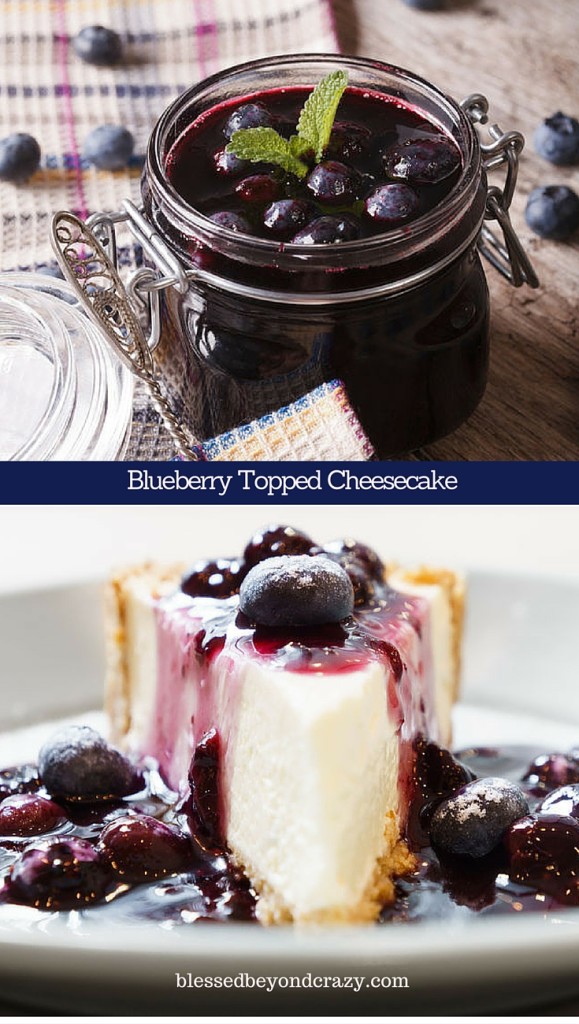 Blueberry Topped Cheesecake 2