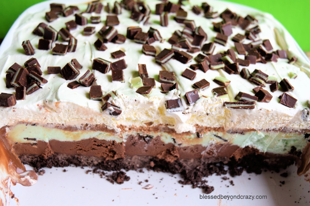 Mint Chip Chocolate Dessert 3