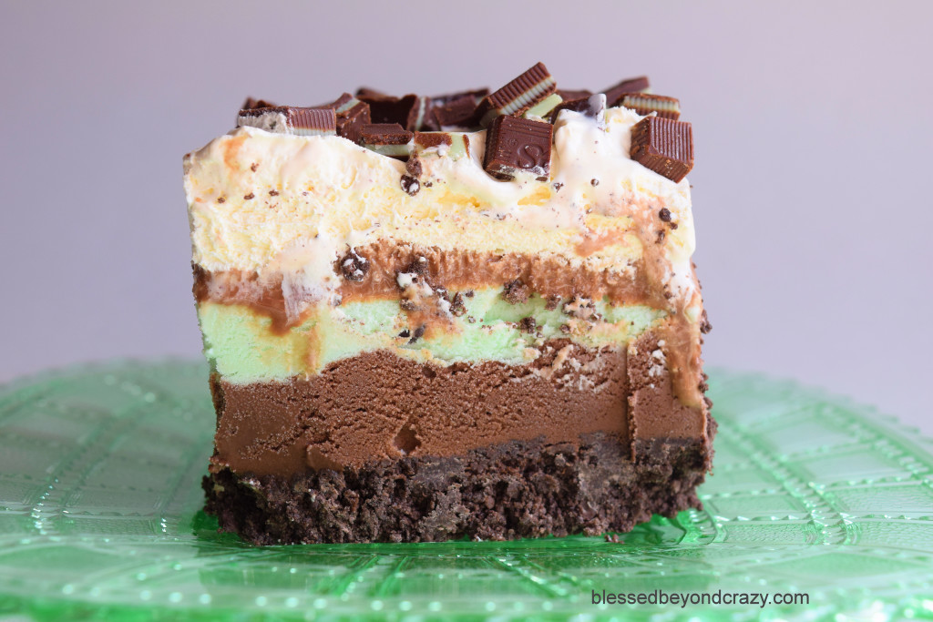 Mint Chip Chocolate Dessert 5