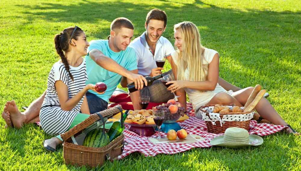 Do You Know How To Keep Pesky Insects Away From Your Picnic? Blessed