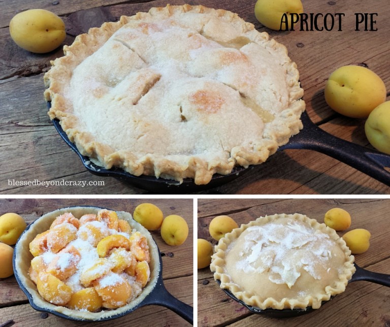 Mini Cast Iron Skillet Fruit Pies Blessed Beyond Crazy