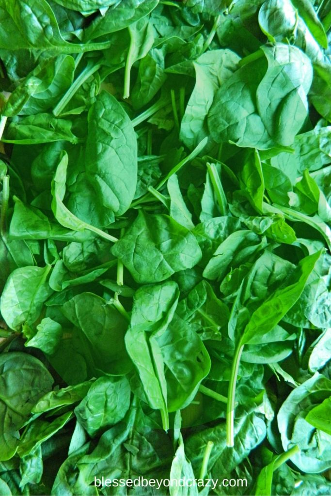 10 Sneaky Ways to add Spinach into your