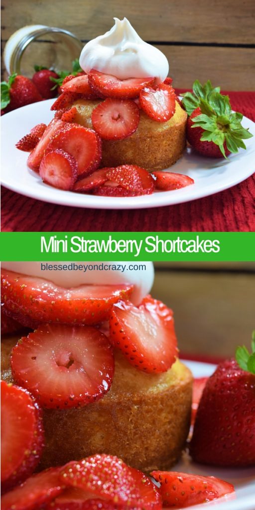 Strawberry Shortcake