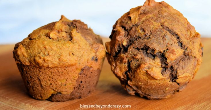 Bountiful Harvest Pumpkin Pecan Chocolate Muffins