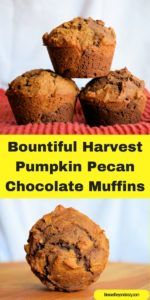 Bountiful Harvest Pumpkin Pecan Chocolate Muffins