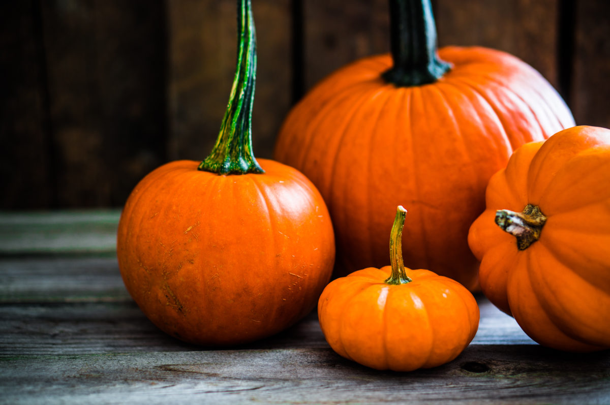 Colorful pumpkins on wooden background