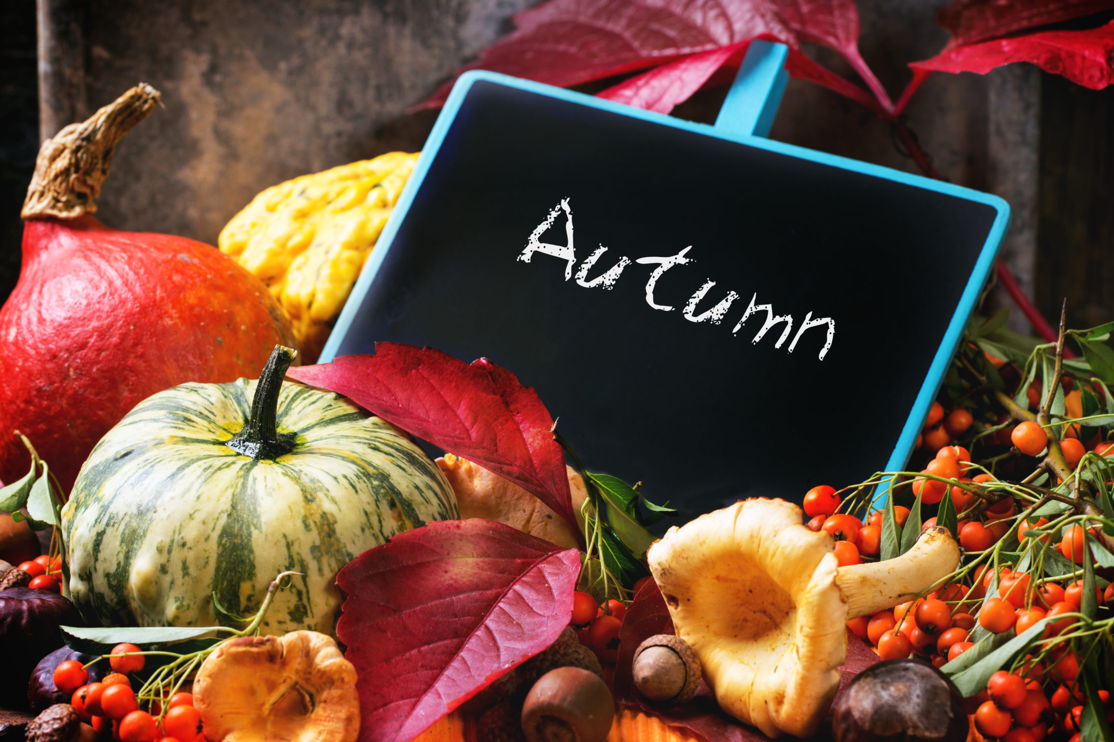 Autumn Sign