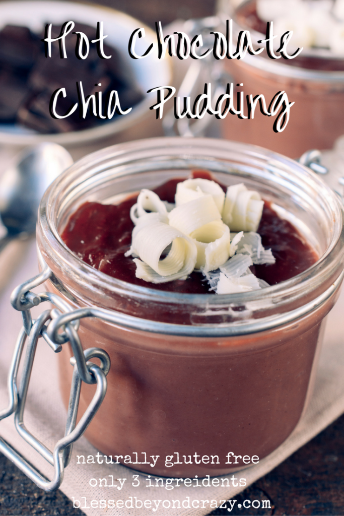 hot-chocolate-chia-pudding
