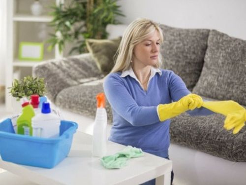 Tips to Speed Clean Your Home