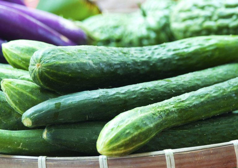 Easy Cucumber Appetizer - Blessed Beyond Crazy