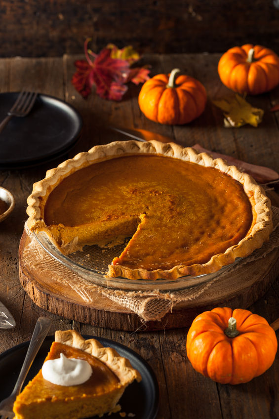 Pumpkin Pie