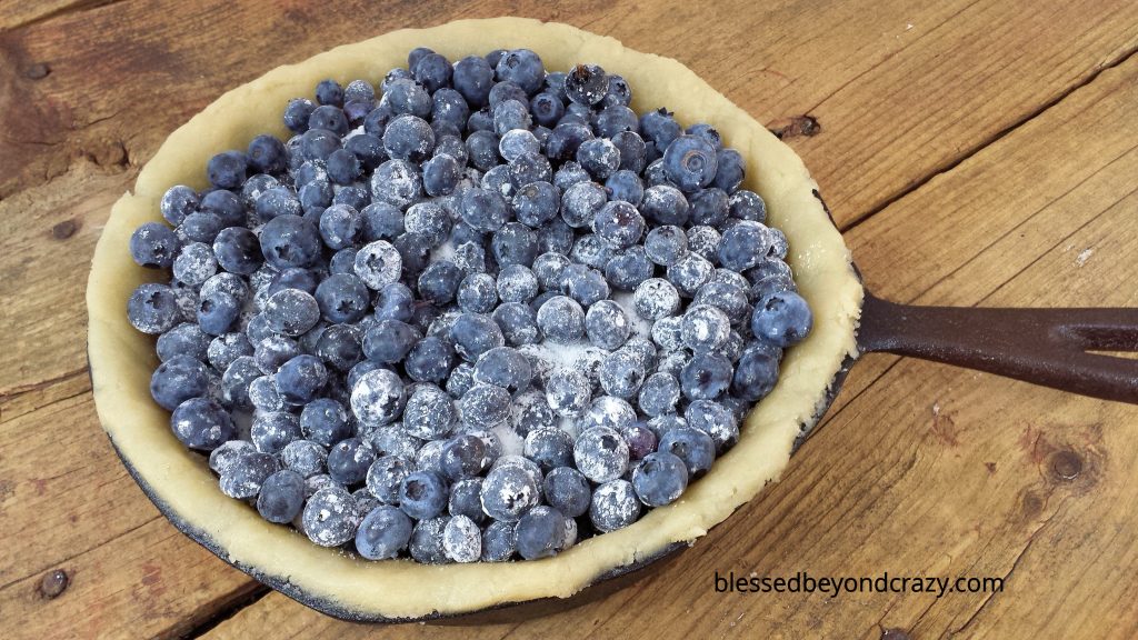 Rustic Cast Iron Skillet Blueberry Pie