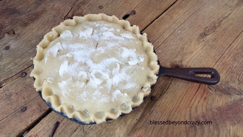 Rustic Cast Iron Skillet Blueberry Pie