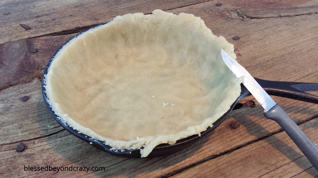 Rustic Cast Iron Skillet Blueberry Pie