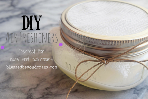 Diy Air Fresheners Only 3 Supplies
