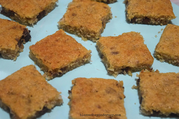 Gluten Free Chocolate Chip Banana Bars