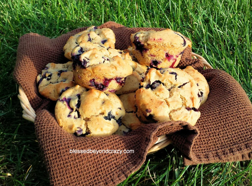 Quick Gluten-Free Blueberry Muffins