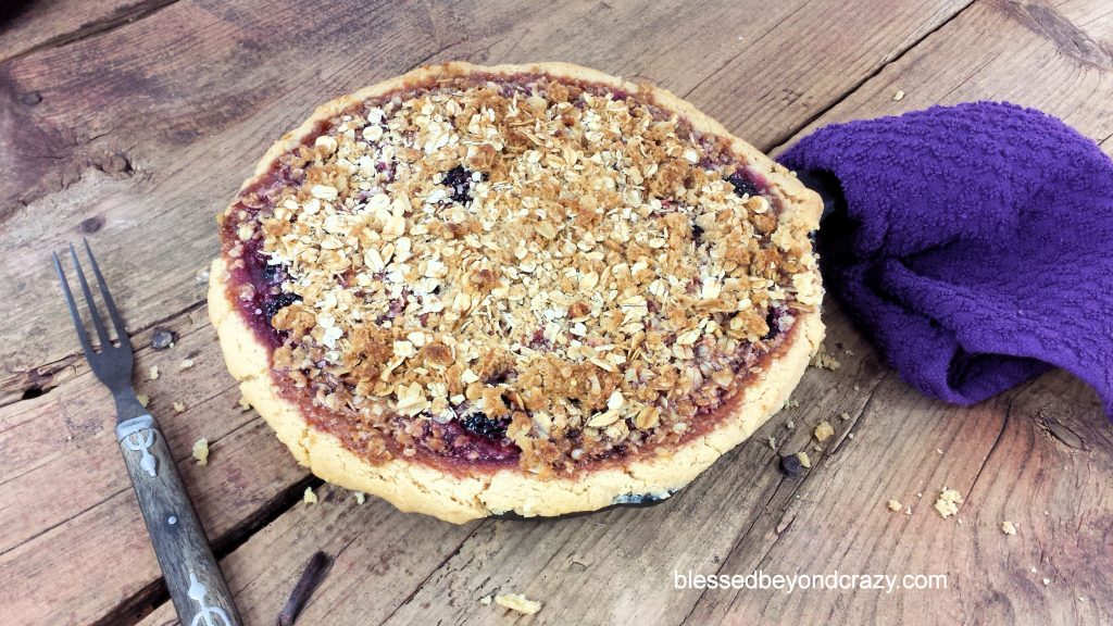 Rustic Cast Iron Skillet Blackberry Pie