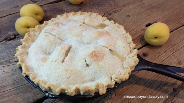 Rustic Cast Iron Skillet Apricot Pie
