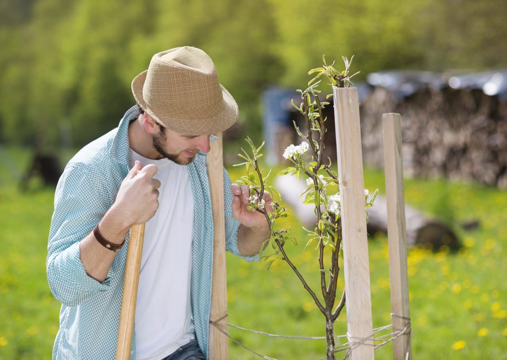 How to Add Curb Appeal to Your Home