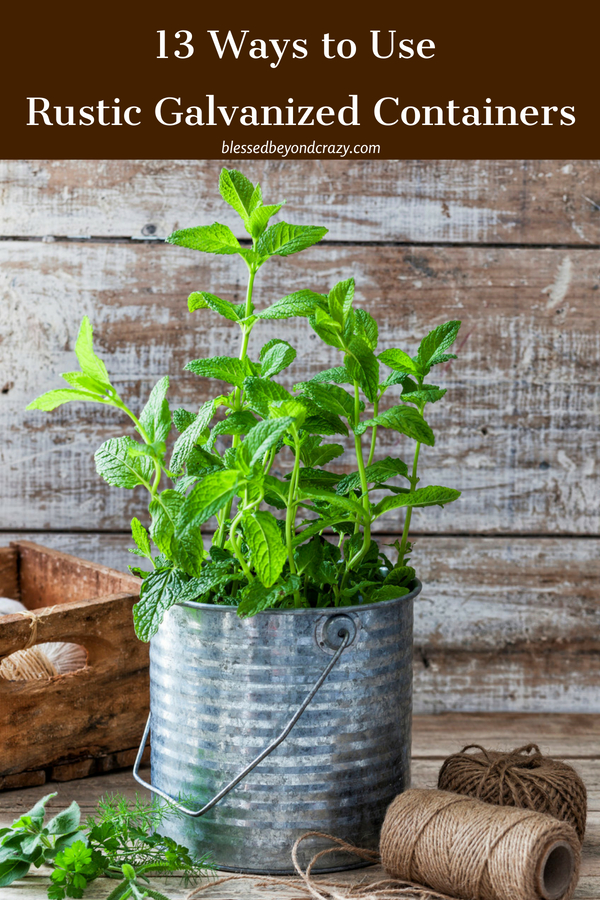 13 Ways to Use Rustic Galvanized Containers