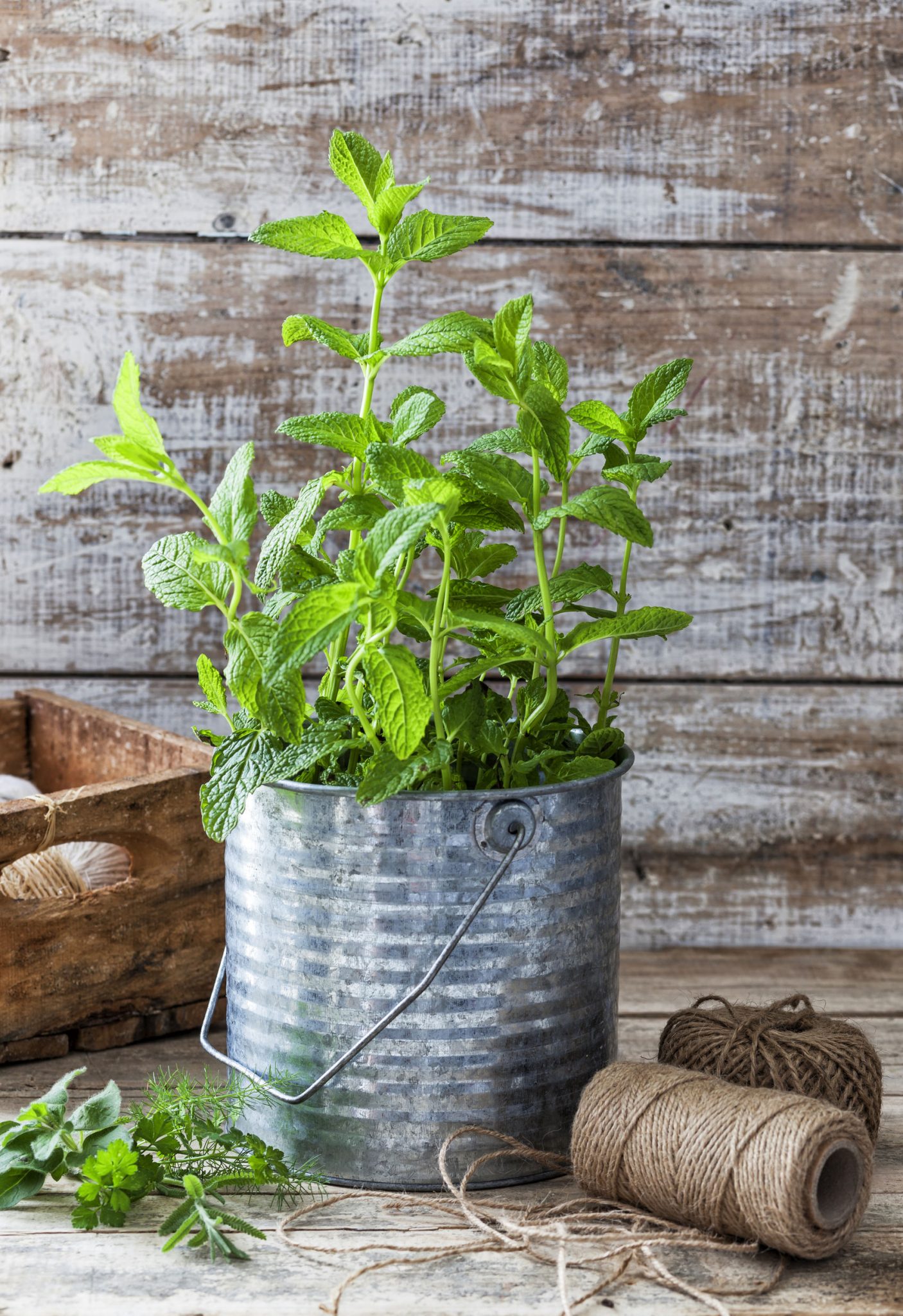 Rustic Container 13 Ways to Use Rustic Galvanized Containers - Blessed Beyond Crazy