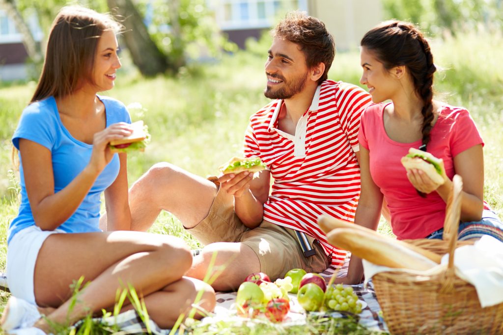 Do You Know How To Keep Pesky Insects Away From Your Picnic?