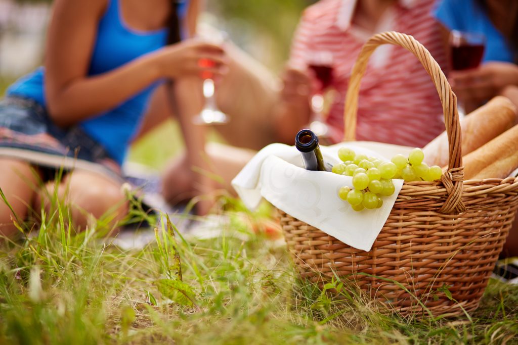 Do You Know How To Keep Pesky Insects Away From Your Picnic?