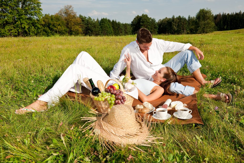 Do You Know How To Keep Pesky Insects Away From Your Picnic?