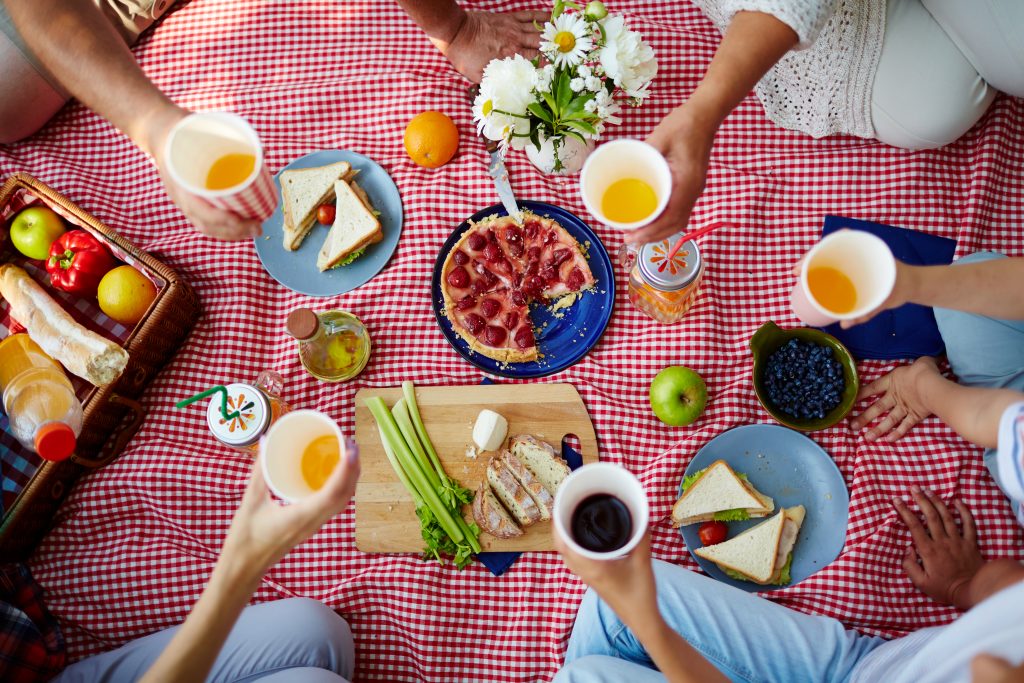 Do You Know How To Keep Pesky Insects Away From Your Picnic?