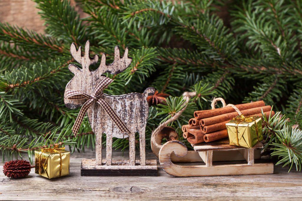 Darling Christmas Reindeer Party Ideas