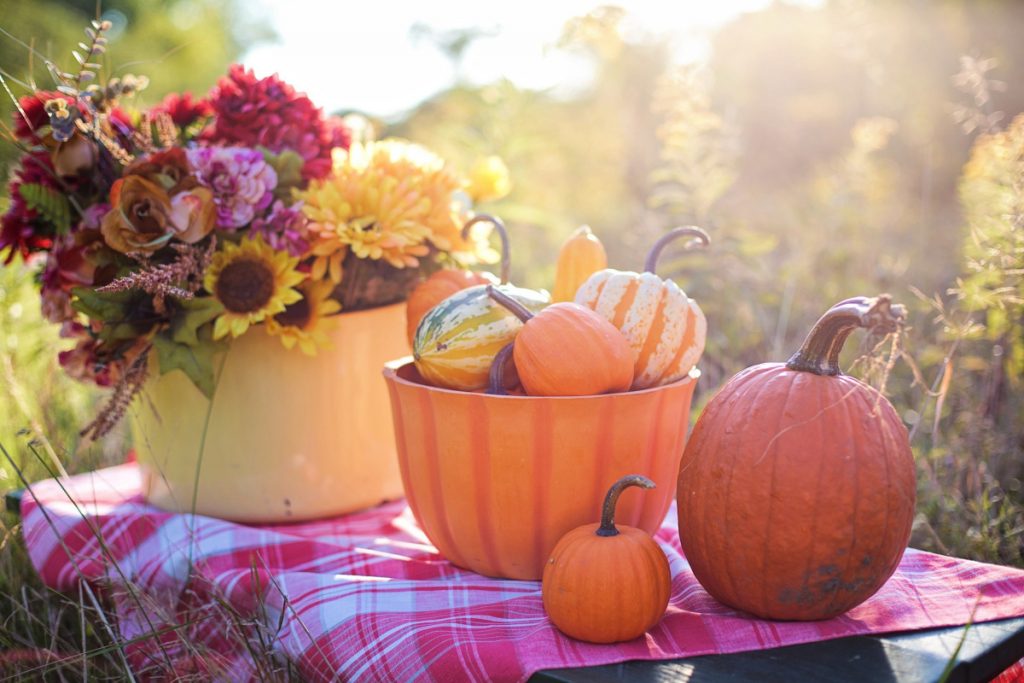 How to Host a Cozy Autumn Garden Party