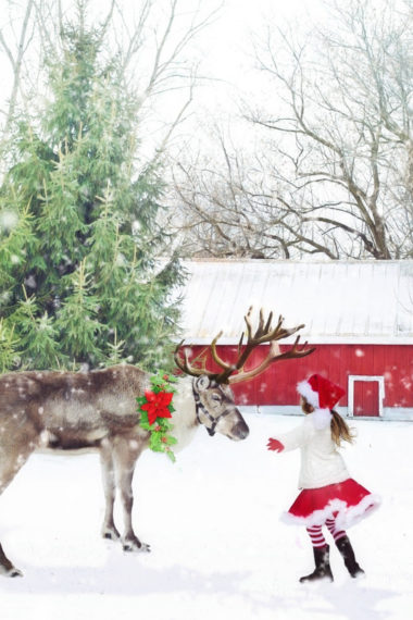 Darling Christmas Reindeer Party Ideas - Blessed Beyond Crazy