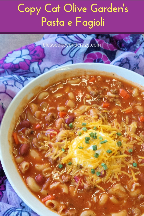 Copy Cat Olive Garden's Pasta e Fagioli